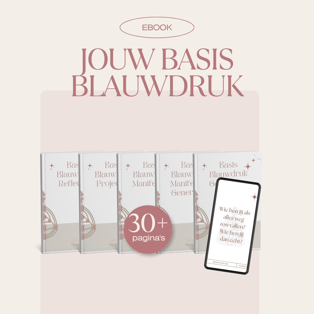 Superdeal: Jouw Eigen Basis Blauwdruk voor een Super Lage Prijs!